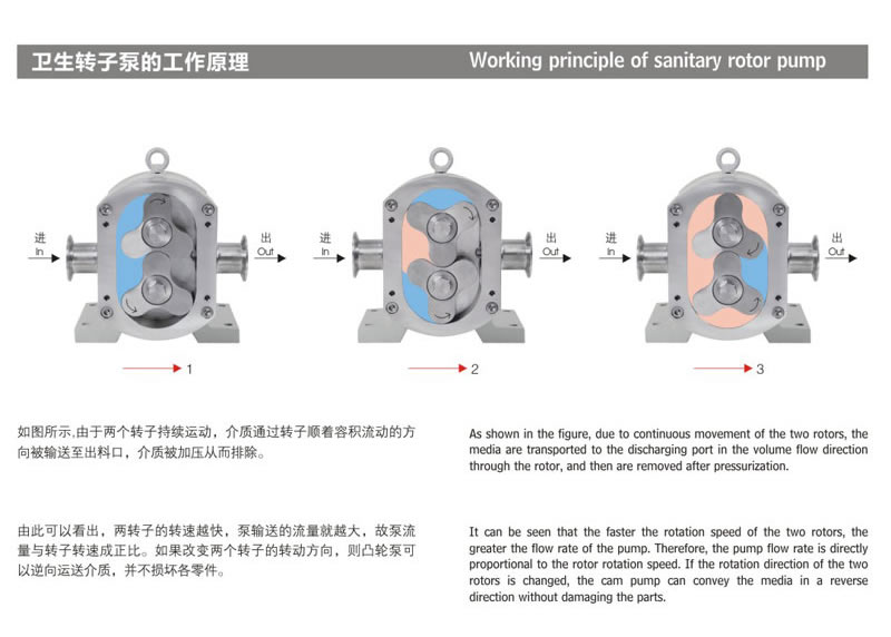 轉(zhuǎn)子泵+一級無極減速機